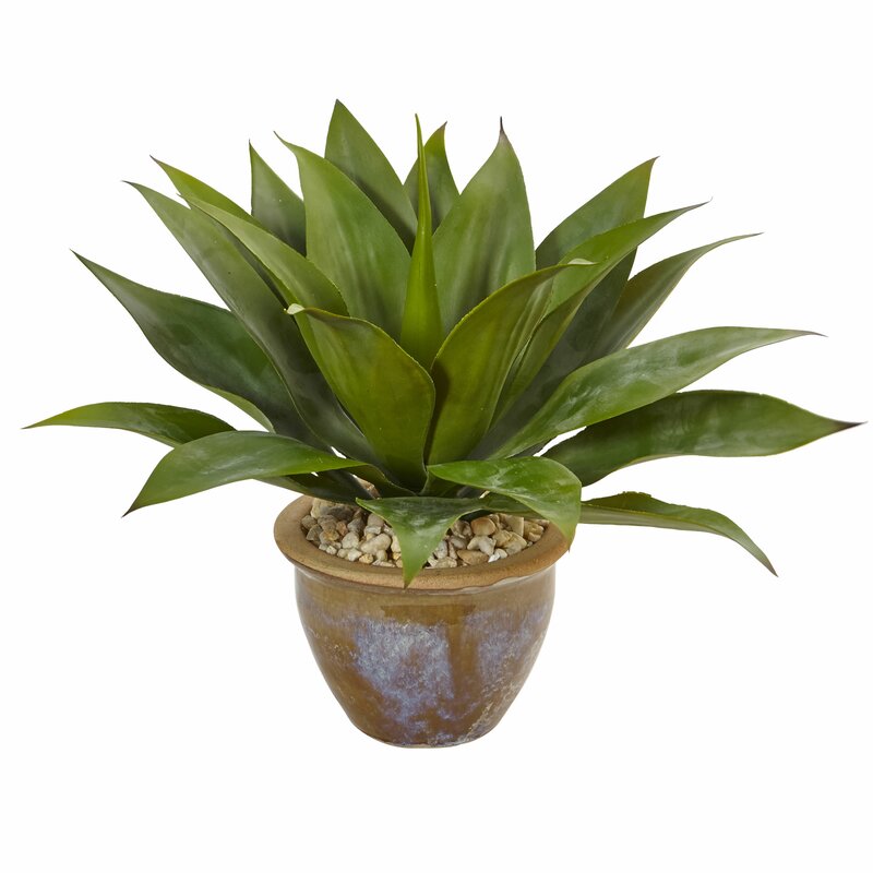 Bay Isle Home 9" Artificial Agave Plant in Pot & Reviews Wayfair